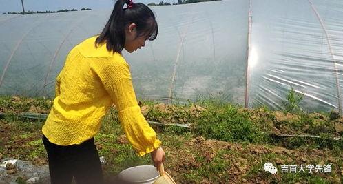 吃瓜路人不无辜,无辜还是旁观者的无奈